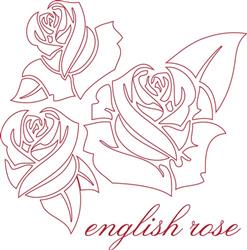 English Rose