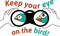 Eye On The Bird