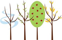 Four Seasons