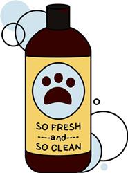 Fresh And Clean Shampoo