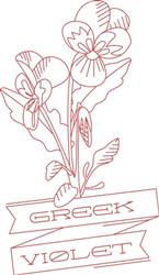 Greek Violet