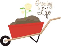 Growing Is life