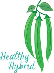 Healthy Hybrid