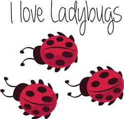I Love Ladybugs