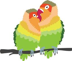 Love Birds