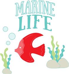 Marine Life