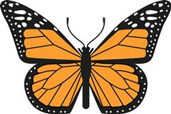 Monarch Butterfly