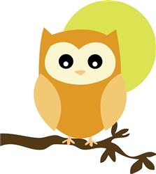 Night Owl