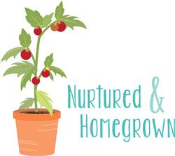Nurtured & Homegrown