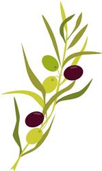 Olive Branch