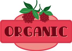 Organic Raspberries