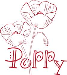 Poppy Flowers