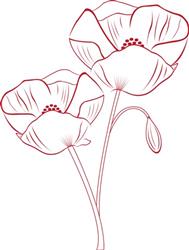 Poppy Ooutline