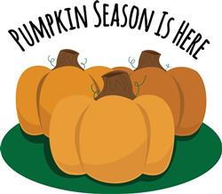 Pumpkin Season