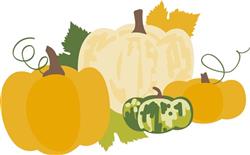 Pumpkin Variety