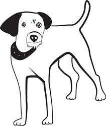 Puppy Dog