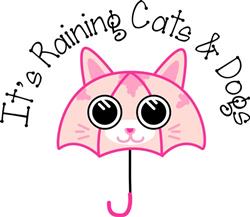 Raining Cats & Dogs