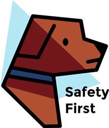 Safety First Dog