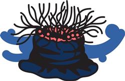 Sea Anemone