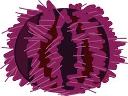 Sea Urchin