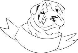 Shar Pei Head