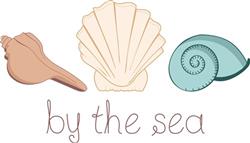 Shells By The Sea