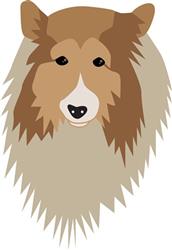 Shetland Sheepdog