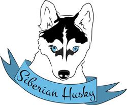 Siberian Husky