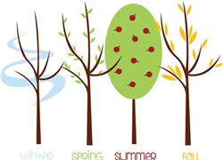The Seasons