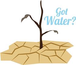 Thirsty Plant