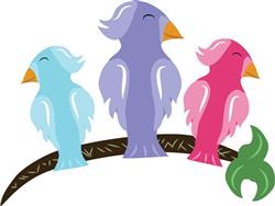 Tropical Birds