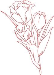 Tulip Bouquet