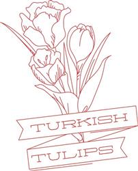 Turkish Tulips