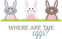 Where are the Eggs