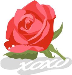XOXO Rose