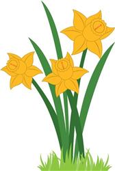 Yellow Daffodils