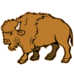 FSL Buffalo