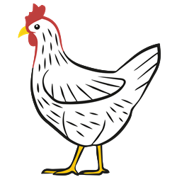 FSL Chicken