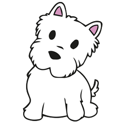 FSL Maltese Puppy