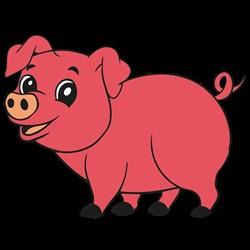 FSL Pig