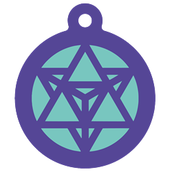 FSL Triangle Medallion