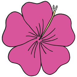 FSL Tropical Hibiscus