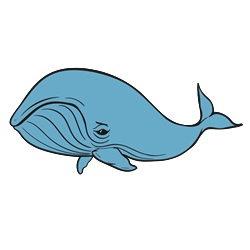 FSL Whale