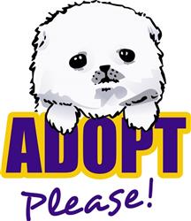 ADOPT PETS PLEASE