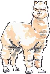 ALPACA