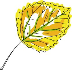 Aspen Fall Leaf