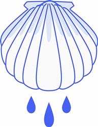 BAPTISM SHELL