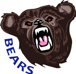 Bears Team