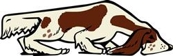 BIRD DOG POINTER