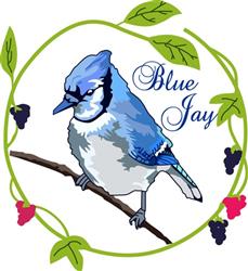 Blue Jay